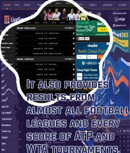 Flash livescore cz